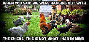 Stupid Bar Memes 3d73d5e8315134ca