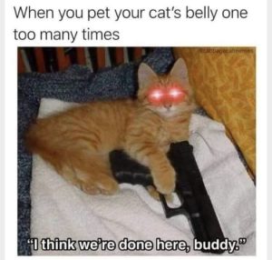 Stupid Bar Memes 3e35a63cdaa2d99c