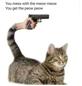 Stupid Bar Memes 40b2777d25bc4cb0