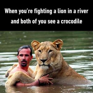Stupid Bar Memes 40e820f014a2e439