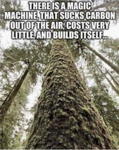 Stupid Bar Memes 4116a809359a60c2