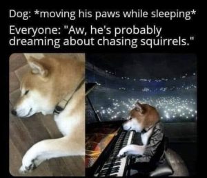 Stupid Bar Memes 419ee7f1f16bc205