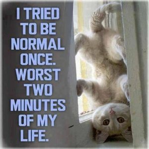 Stupid Bar Memes 452ffb660cd1550a