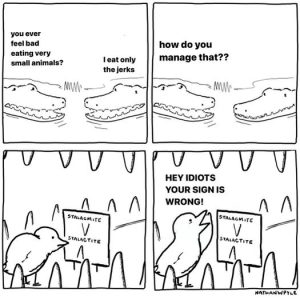 Stupid Bar Memes 45503ae430b5ff4f