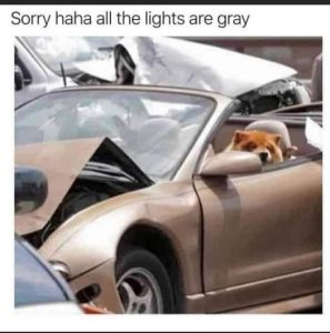 Stupid Bar Memes 4678aafcde0d4d7e