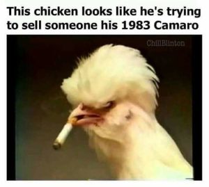 Stupid Bar Memes 477f713e1e9ceb57
