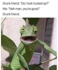 Stupid Bar Memes 479ce27dd709817d