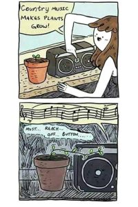 Stupid Bar Memes 4aa273c96b693414
