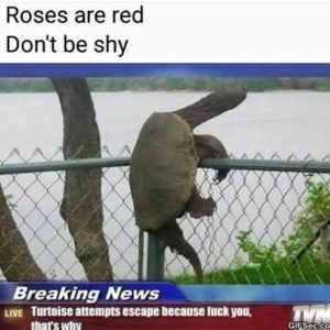 Stupid Bar Memes 4dd791fc9a0f2b6f