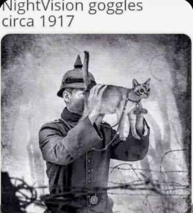 Stupid Bar Memes 4e0758d0d0f14b19
