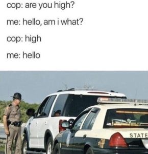 Stupid Bar Memes 516de2c06355036d