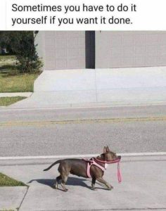 Stupid Bar Memes 51c0fdeb9284d991