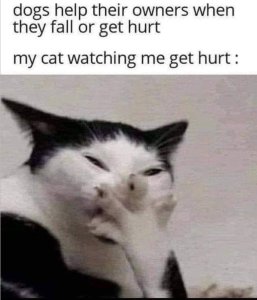 Stupid Bar Memes 538d43d5c5e07095