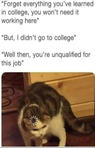 Stupid Bar Memes 56788cc9b922514c