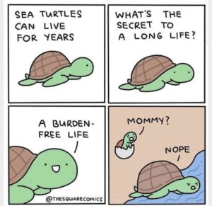 Stupid Bar Memes 589f13d81d1a43d2