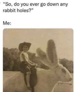 Stupid Bar Memes 58c7f13e8d81d969