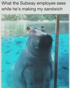 Stupid Bar Memes 58d653f060b384f1