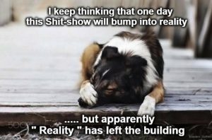 Stupid Bar Memes 5cde983bae4657a4