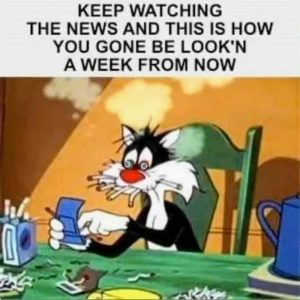 Stupid Bar Memes 5f939bad650650d6