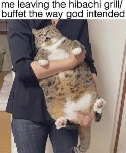 Stupid Bar Memes 604d2fbe41307e5e