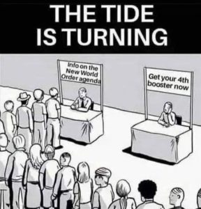 Stupid Bar Memes 6070af177d65d44a
