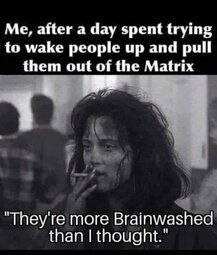 Stupid Bar Memes 6254bf0b9acfd444