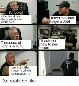 Stupid Bar Memes 636fef79259446e0