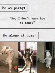 Stupid Bar Memes 6404bd7d5c2b4
