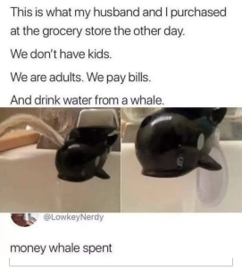 Stupid Bar Memes 6409da6a4b42c