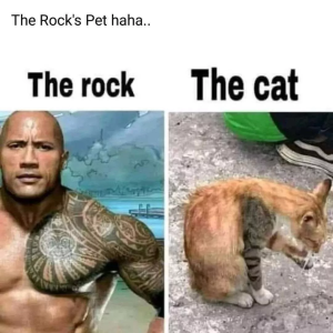 Stupid Bar Memes 640ac747dfd5d