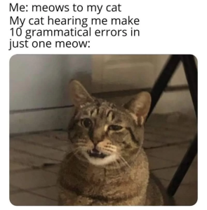 Stupid Bar Memes 640cfe6682f28