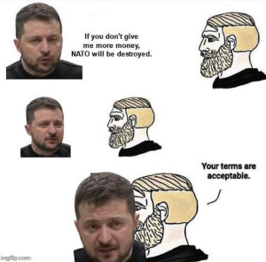 Stupid Bar Memes 66b96562e8da2caa