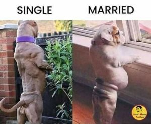 Stupid Bar Memes 68e5b4b8e66f4a7d
