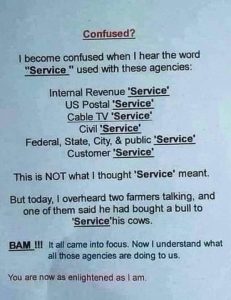 Stupid Bar Memes 6a86872da92f3abb