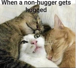 Stupid Bar Memes 6b33a01999f89099