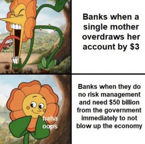 Stupid Bar Memes 6b5118efeab13c5b