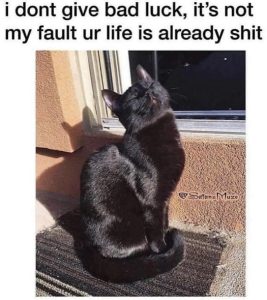 Stupid Bar Memes 6bc60192f79b424d