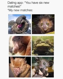 Stupid Bar Memes 6f4c0e82829b619b