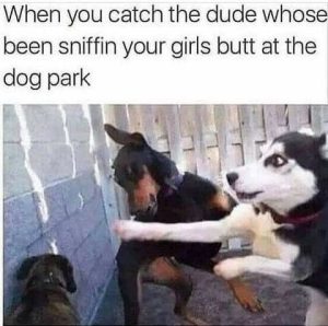 Stupid Bar Memes 73e3316856ea798f