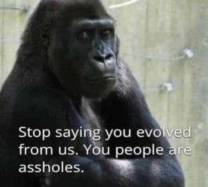Stupid Bar Memes 74b6289796d28faa