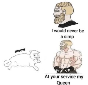Stupid Bar Memes 755560e30add9889