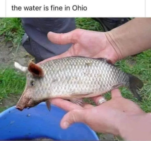 Stupid Bar Memes 75f13edbd8e6a39e