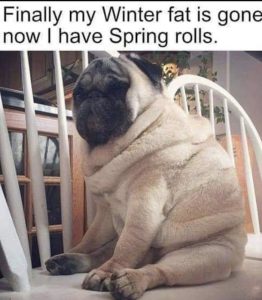 Stupid Bar Memes 767390c960576d92