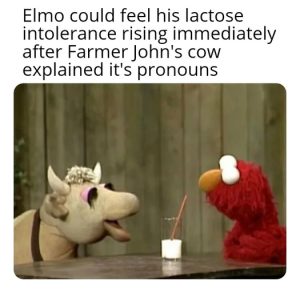 Stupid Bar Memes 77f0db53d3d5aa19