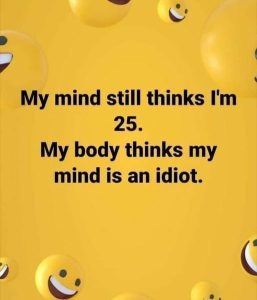 Stupid Bar Memes 79d12838473d4f83