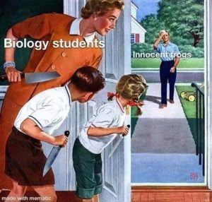 Stupid Bar Memes 7ba2ee1ca6c6e929