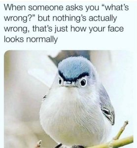 Stupid Bar Memes 7c37f9f123049aec