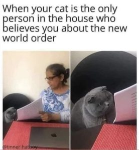 Stupid Bar Memes 7c6e1bf66064fbfb
