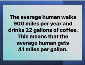 Stupid Bar Memes 804bd1e84a87e06e