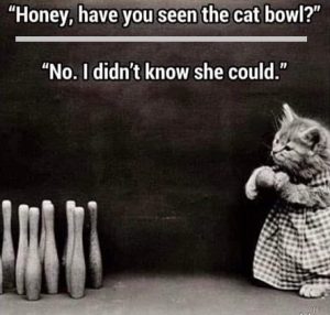 Stupid Bar Memes 81f0be6a35f1e5aa